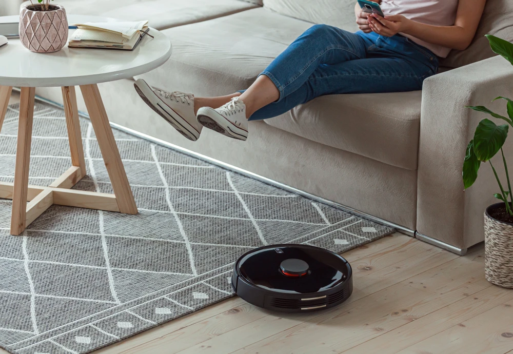 sweeping robot vacuum cleaner